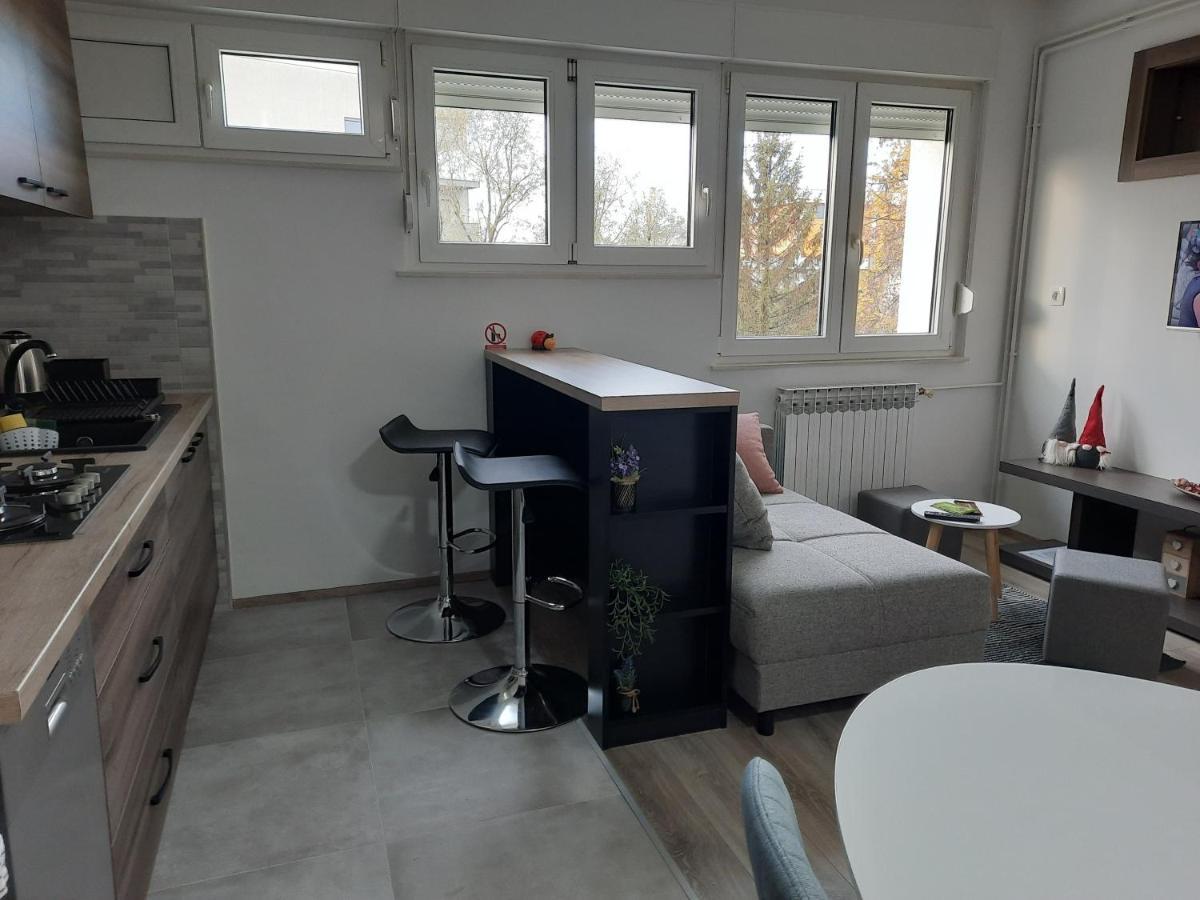 Apartman Ines Velika Gorica Dış mekan fotoğraf